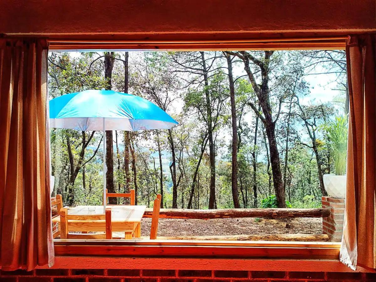 Cabana Para Pareja En El Bosque Ib Acaxochitlan Exterior photo